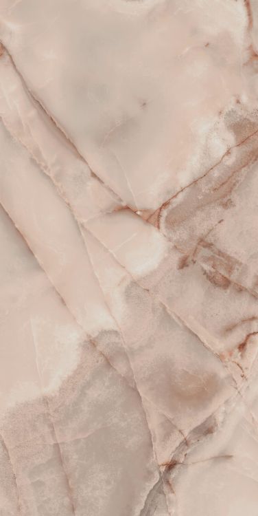 Reves Rose Matte 24 x 48